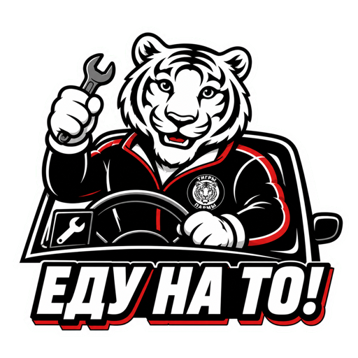 Пармик: «Еду на ТО!»